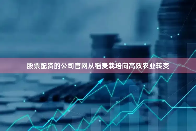 股票配资的公司官网从稻麦栽培向高效农业转变