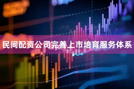 民间配资公司完善上市培育服务体系