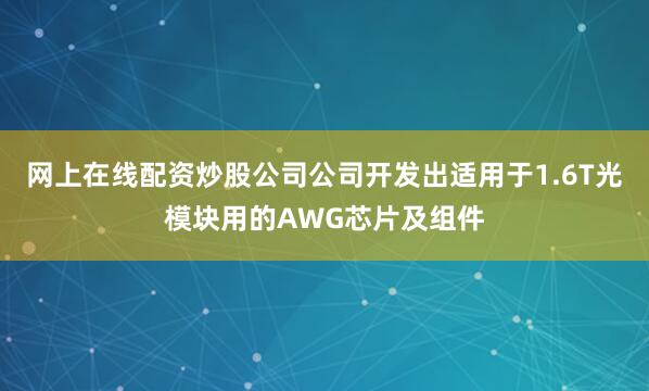 网上在线配资炒股公司公司开发出适用于1.6T光模块用的AWG芯片及组件
