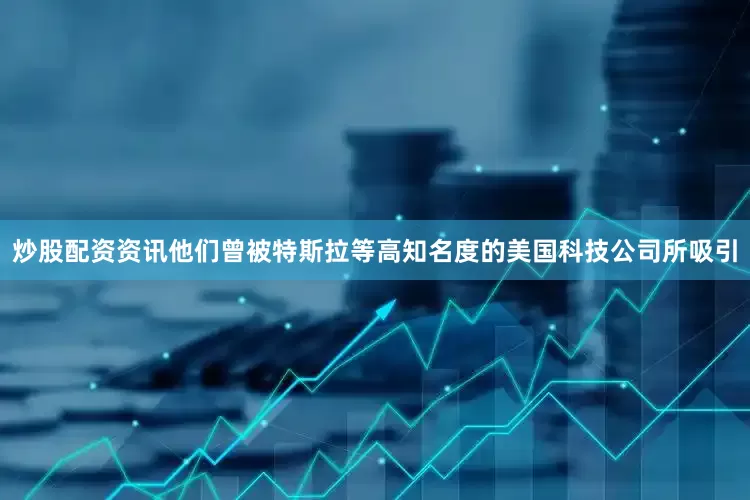 炒股配资资讯他们曾被特斯拉等高知名度的美国科技公司所吸引