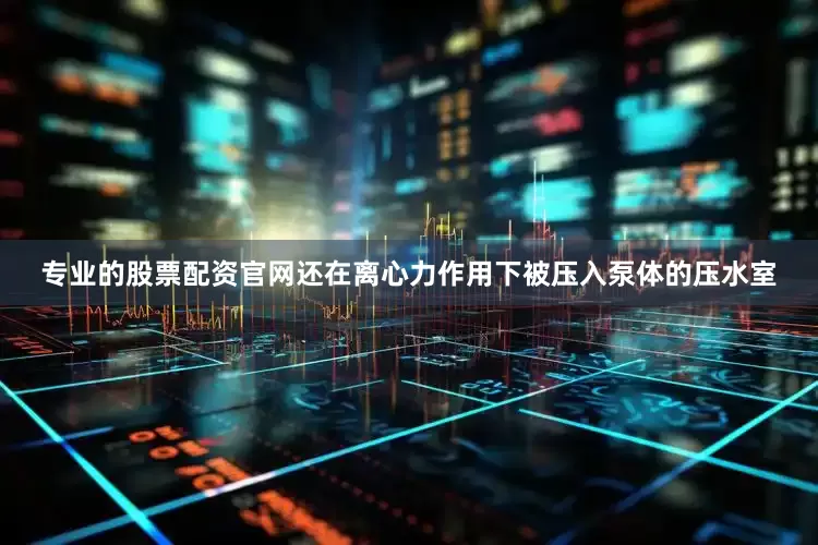 专业的股票配资官网还在离心力作用下被压入泵体的压水室