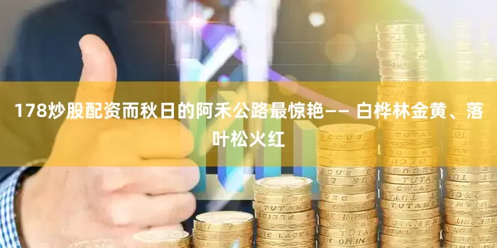 178炒股配资而秋日的阿禾公路最惊艳—— 白桦林金黄、落叶松火红