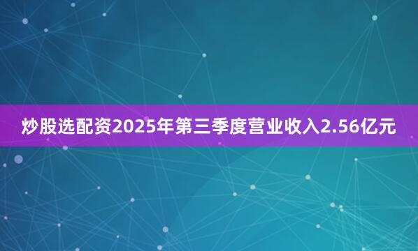 炒股选配资2025年第三季度营业收入2.56亿元