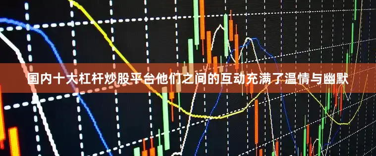 国内十大杠杆炒股平台他们之间的互动充满了温情与幽默
