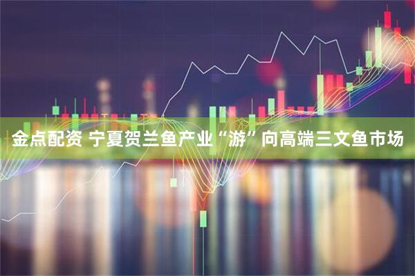 金点配资 宁夏贺兰鱼产业“游”向高端三文鱼市场